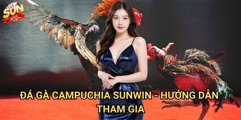 Đá gà Campuchia Sunwin - Trải nghiệm đấu gà đẳng cấp quốc tế 3 Đá gà Campuchia Sunwin - Hướng dẫn tham gia