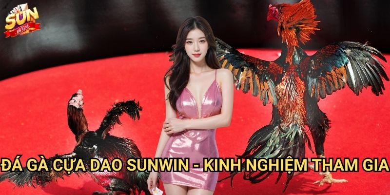 Đá gà cựa dao Sunwin - Môn thể thao cá cược đầy kịch tính 3 Đá gà cựa dao Sunwin - Kinh nghiệm tham gia