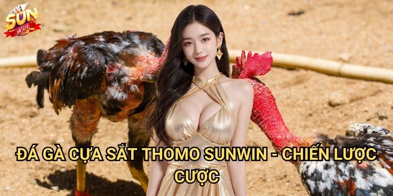 Đá gà cựa sắt Thomo Sunwin - Đấu trường của những chiến binh 3 Đá gà cựa sắt Thomo Sunwin - Chiến lược cược