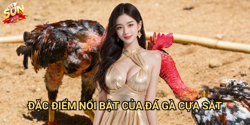 Đá gà cựa sắt Thomo Sunwin - Đấu trường của những chiến binh 2 Đặc điểm nổi bật của đá gà cựa sắt