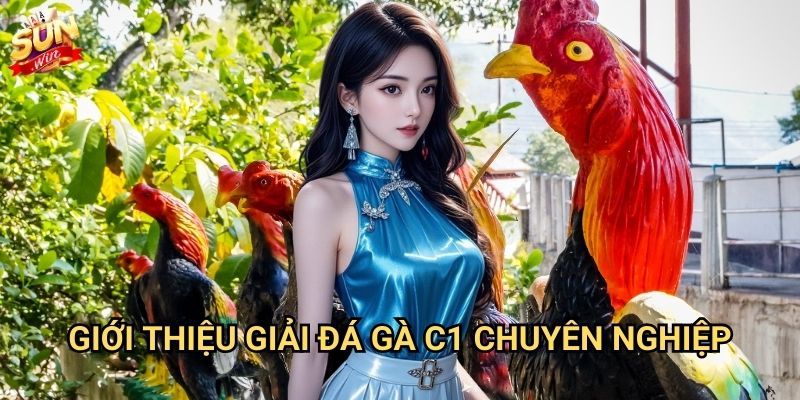 Đá gà trực tiếp C1 Sunwin - Theo dõi đấu gà đỉnh cao 2 Giới thiệu giải đá gà C1 chuyên nghiệp