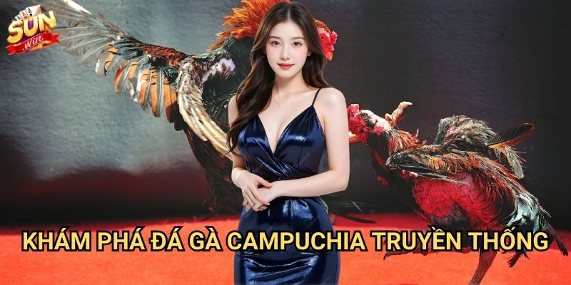Đá gà Campuchia Sunwin - Trải nghiệm đấu gà đẳng cấp quốc tế 2 Khám phá đá gà Campuchia truyền thống