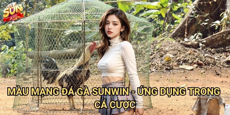 Màu mạng đá gà Sunwin - Bí mật đằng sau màu sắc may mắn 3 Màu mạng đá gà Sunwin - Ứng dụng trong cá cược