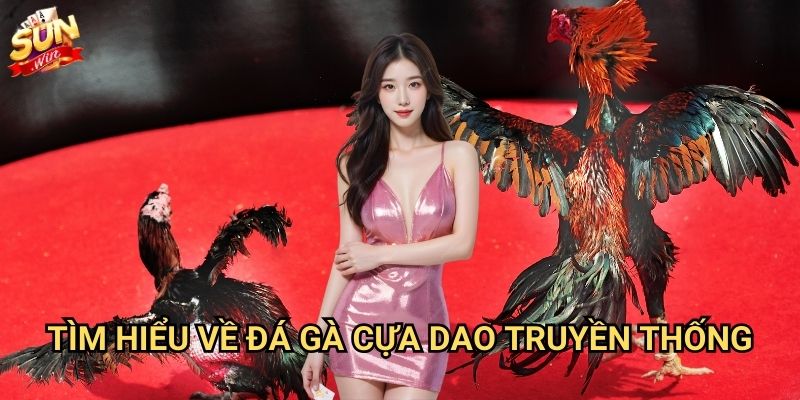 Đá gà cựa dao Sunwin - Môn thể thao cá cược đầy kịch tính 2 Tìm hiểu về đá gà cựa dao truyền thống