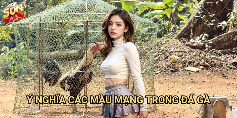 Màu mạng đá gà Sunwin - Bí mật đằng sau màu sắc may mắn 2 Ý nghĩa các màu mạng trong đá gà